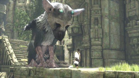 Trico em posição de respeito a hierarquia, semelhante ao que os cães fazem.